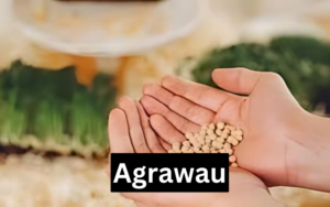 Agrawau