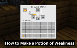 How to Make a Potion of Weakness