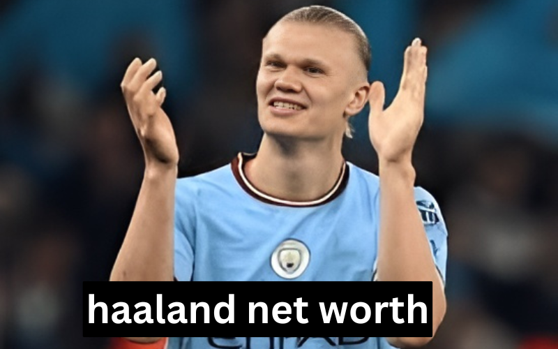 Haaland Net Worth