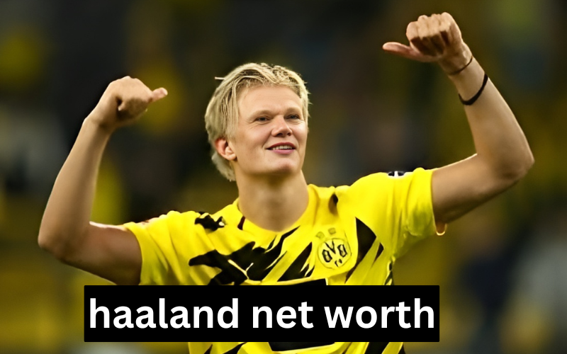 Haaland Net Worth