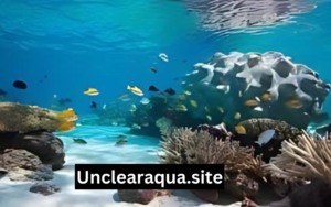 Unclearaqua.Site